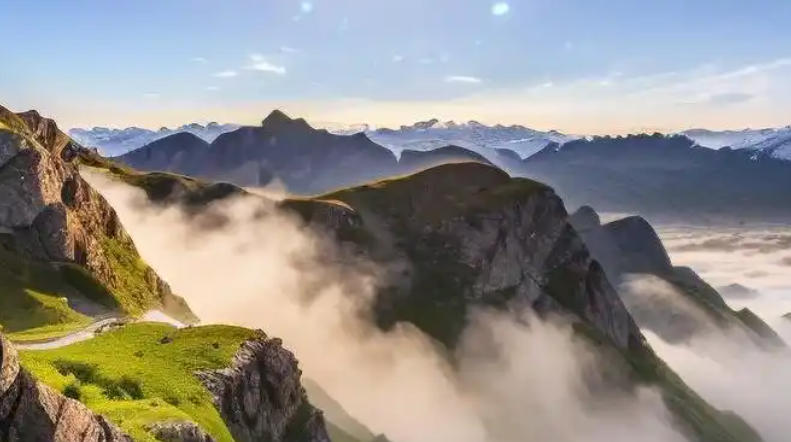 沈阳福临利顺商贸有限公司轮播图1