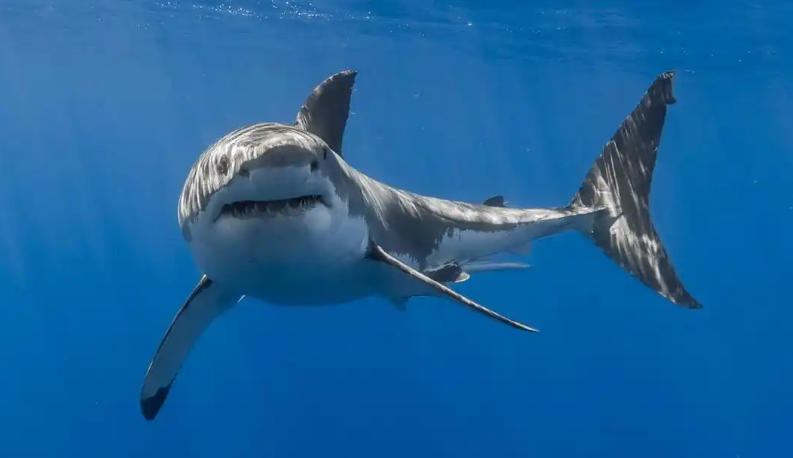 沈阳福临利顺商贸有限公司轮播图4