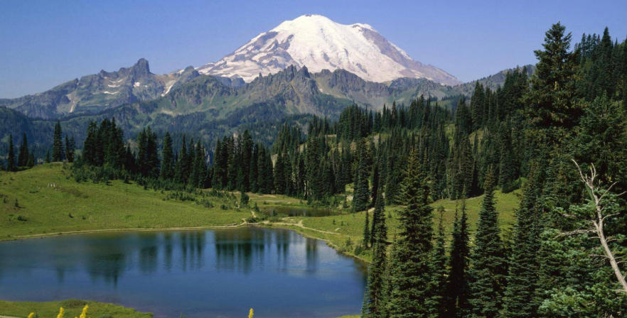 沈阳福临利顺商贸有限公司轮播图3