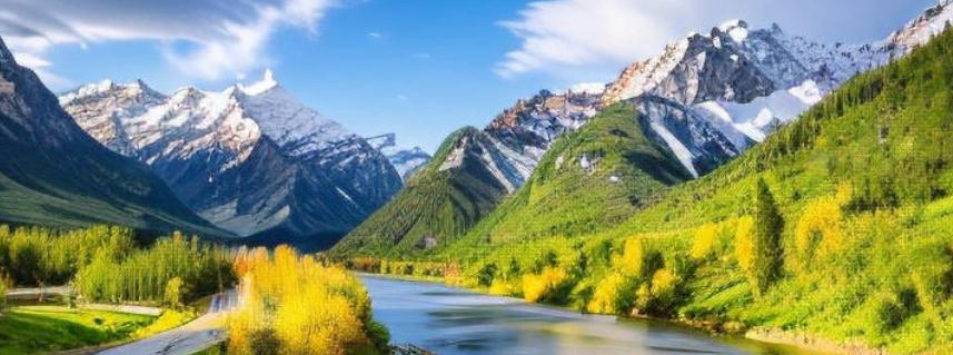 沈阳福临利顺商贸有限公司轮播图2